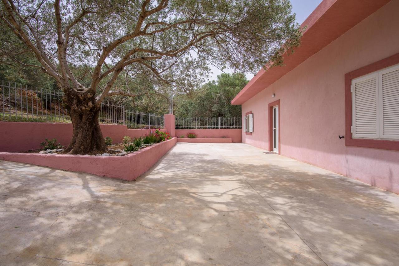 Palm Beach House Sfinárion Extérieur photo